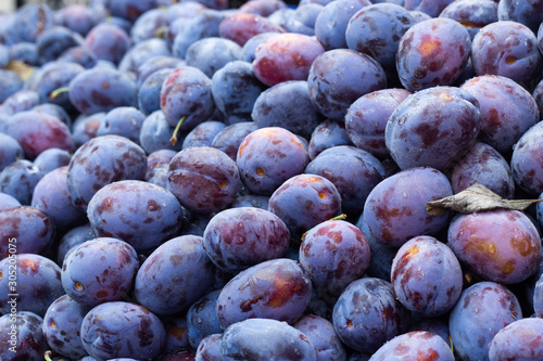  Heap of ripe plums close up.
