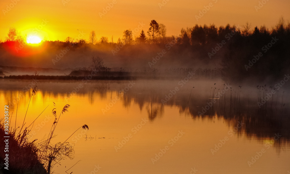 Sunrise landscape at the water, trees reflection in the lake on foggy morning, early morning reeds mist fog and water surface on the lake       