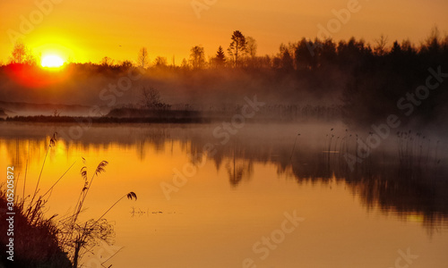 Sunrise landscape at the water  trees reflection in the lake on foggy morning  early morning reeds mist fog and water surface on the lake       