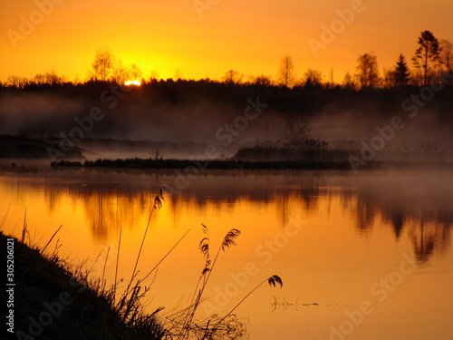 Sunrise landscape at the water, trees reflection in the lake on foggy morning, early morning reeds mist fog and water surface on the lake 