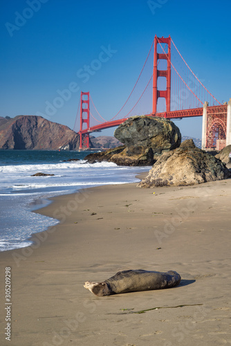 The Golden Gate Bridge
