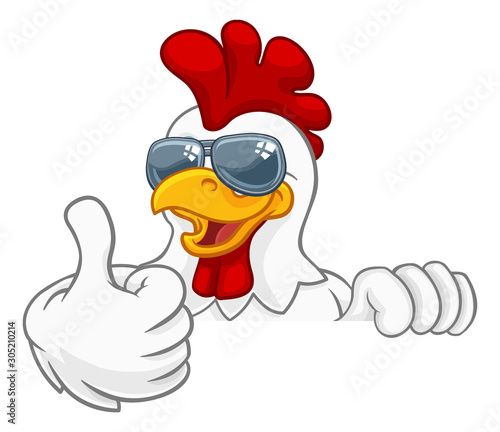 A chicken rooster cockerel bird cartoon character in cool shades or sunglasses peeking over a sign and giving a thumbs up