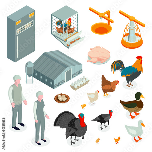Poultry Farm Isometric Icons