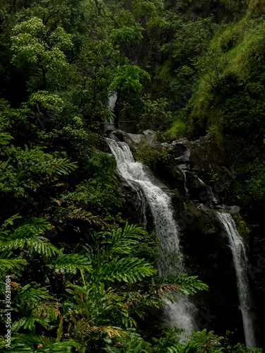Waterfall and the greenery on Maui, Hawaii