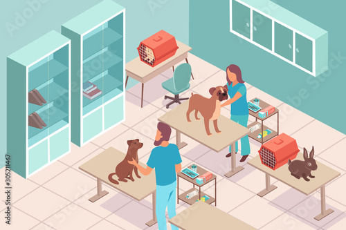Isometric Veterinary Clinic Composition