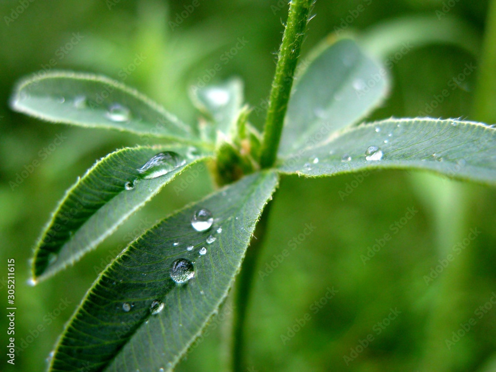 Droplets Droplets