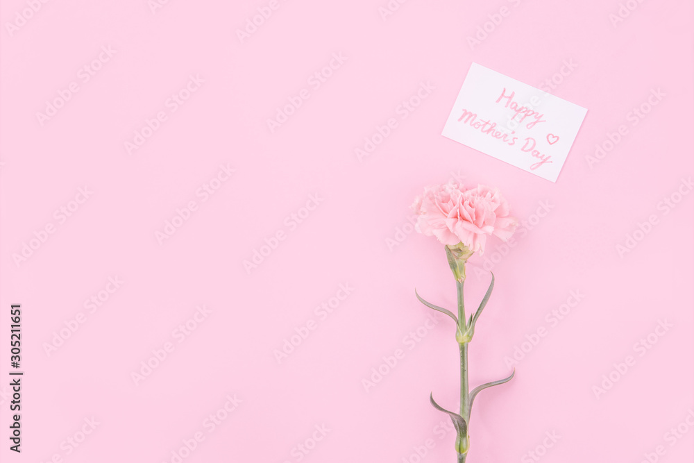 Beautiful, fresh elegant carnation flower bouquet with white greeting thanks gift card isolated on bright pink color background, top view, flat lay concept. Beautiful, fresh elegant carnation flower bouquet with white greeting thanks gift card isolated on bright pink color background, top view, flat lay concept.