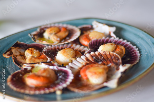 Scallops from the Cantabrian Sea with olive oil and salt in a blue plate. Spanish tapas. North of Spain. Zamburiñas