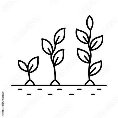 Plant growth stages, from sprout to flower, isolated line icon