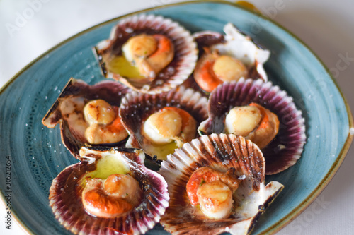Scallops from the Cantabrian Sea with olive oil and salt in a blue plate. Spanish tapas. North of Spain. Zamburiñas