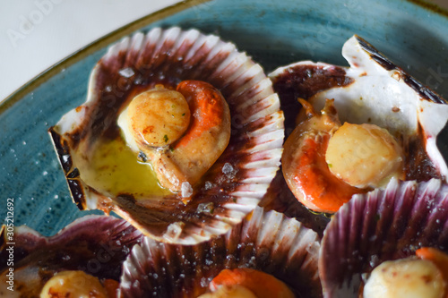 Scallops from the Cantabrian Sea with olive oil and salt in a blue plate. Spanish tapas. North of Spain. Zamburiñas