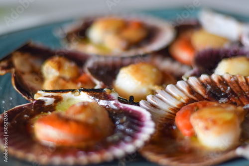 Scallops from the Cantabrian Sea with olive oil and salt in a blue plate. Spanish tapas. North of Spain. Zamburiñas