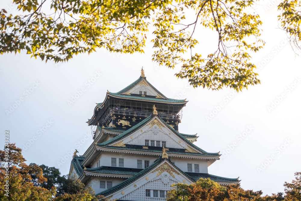 Osaka Castle in Osaka with autumn leaves. Japan Travel Concept