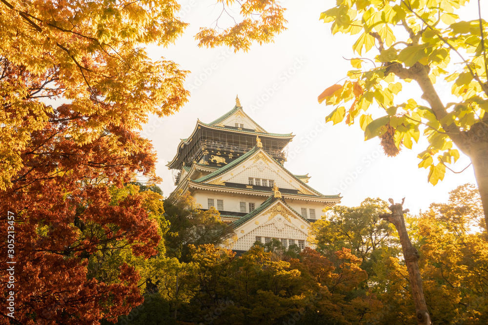 Osaka Castle in Osaka with autumn leaves. Japan Travel Concept Osaka Castle in Osaka with autumn leaves. Japan Travel Concept