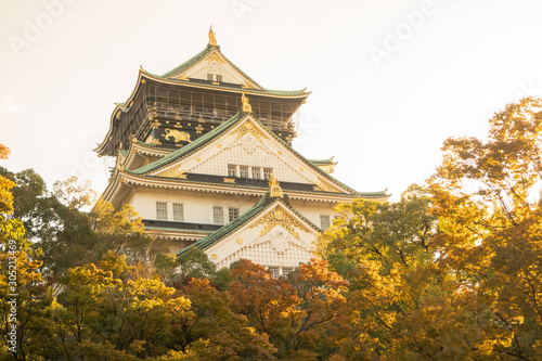 Osaka Castle in Osaka with autumn leaves. Japan Travel Concept