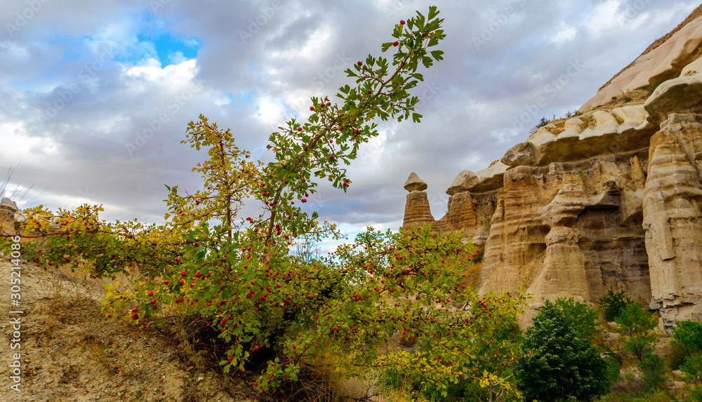 Mountain landscape in Pigeon valley in Cappadocia, Turkey. Unreal rock formations of Cappadocia