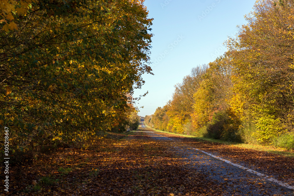 Naklejka premium Une autoroute déserte en automne