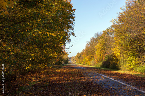 Une autoroute déserte en automne