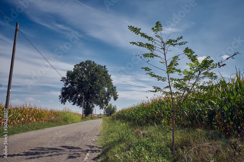 la strada