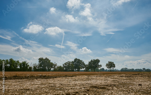 scie