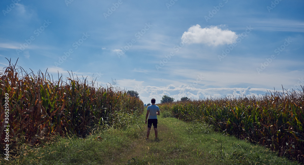 tracking tracking