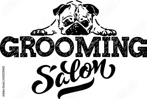 Logo for dog hair salon, dog styling and grooming shop, store for pets. Vector illustration isolated on white background. EPS 10