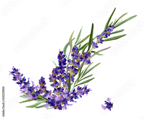 Flower arrangement of lavender with leafed branches hand drawn in watercolor isolated on a white background. Floral watercolor illustration. Ideal for creating invitations  greeting and wedding cards.