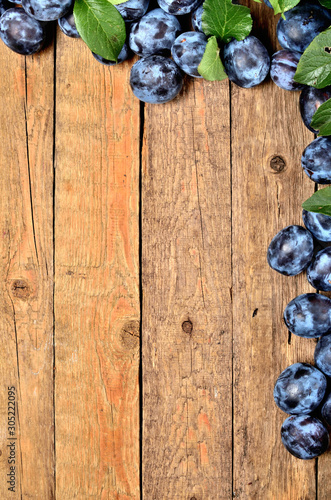 Fresh garden blue plums and leaves on rustic wooden background. VIew from above and copy space.