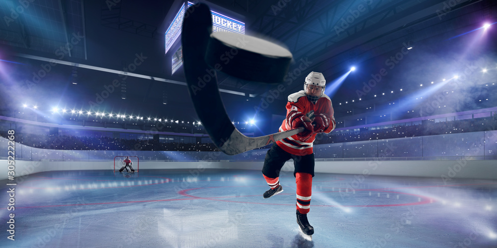 Εκτύπωση καμβά Ice hockey.