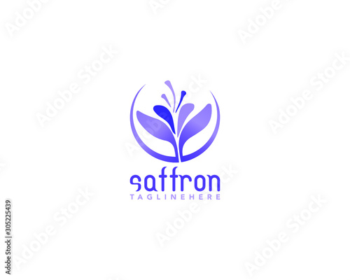 Saffron logo design template full Vector