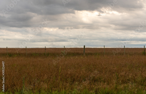 Rural landscape in cloudy and rainy day9 photo