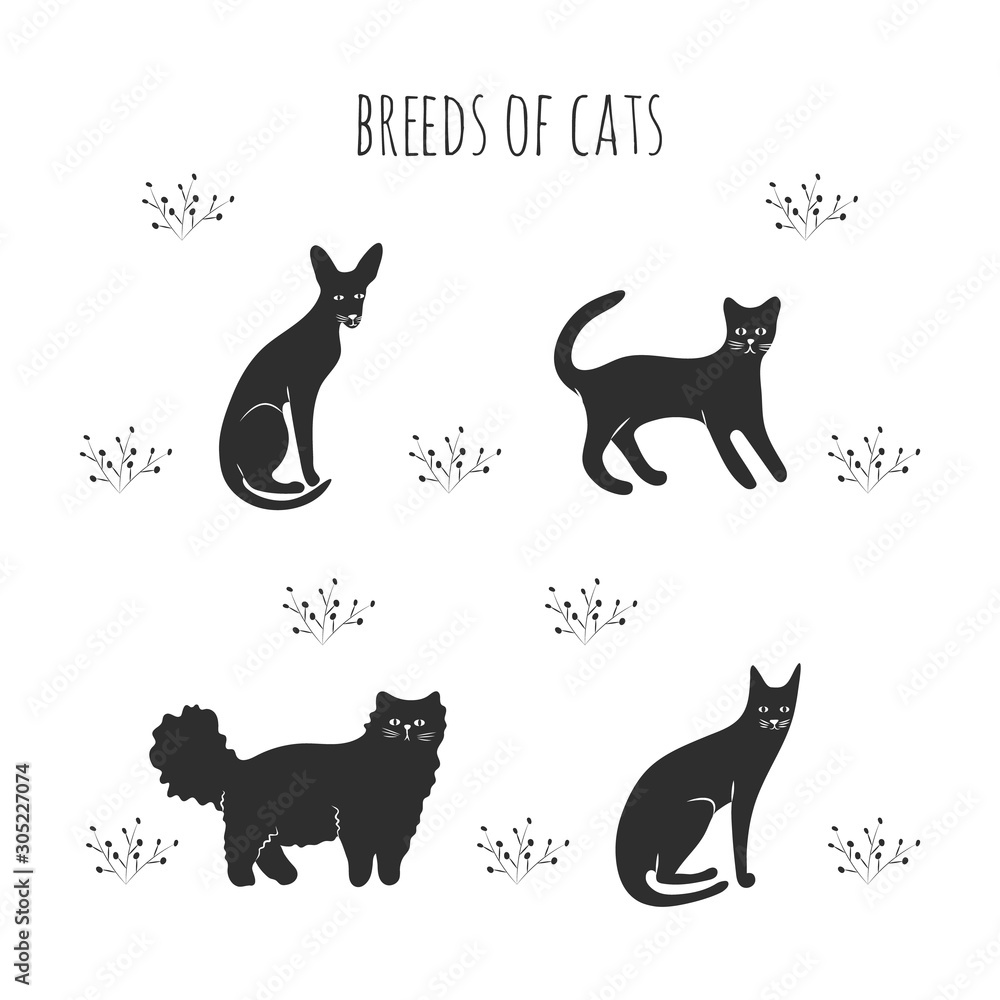 Set icons cartoon style of cat breeds. Simple silhouettes of characters for different design.