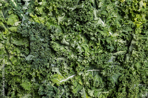 Fresh kale salad background