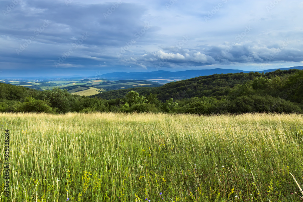 A meadow with tall grass on a stormy day with dramatic cloudy sky and hills in the background