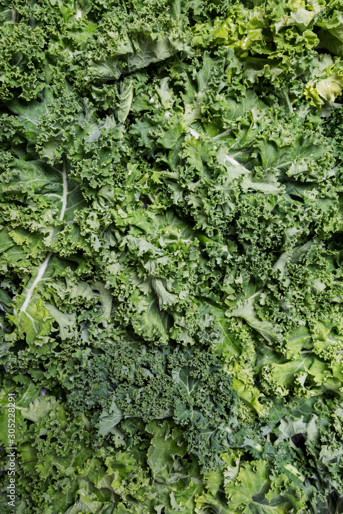 Directly above shot of green kale leaves on background Directly above shot of green kale leaves on background