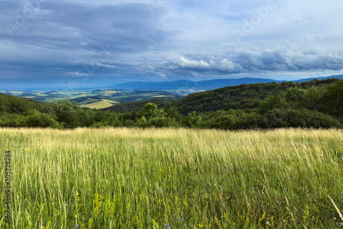 A meadow with tall grass on a stormy day with dramatic cloudy sky and hills in the background