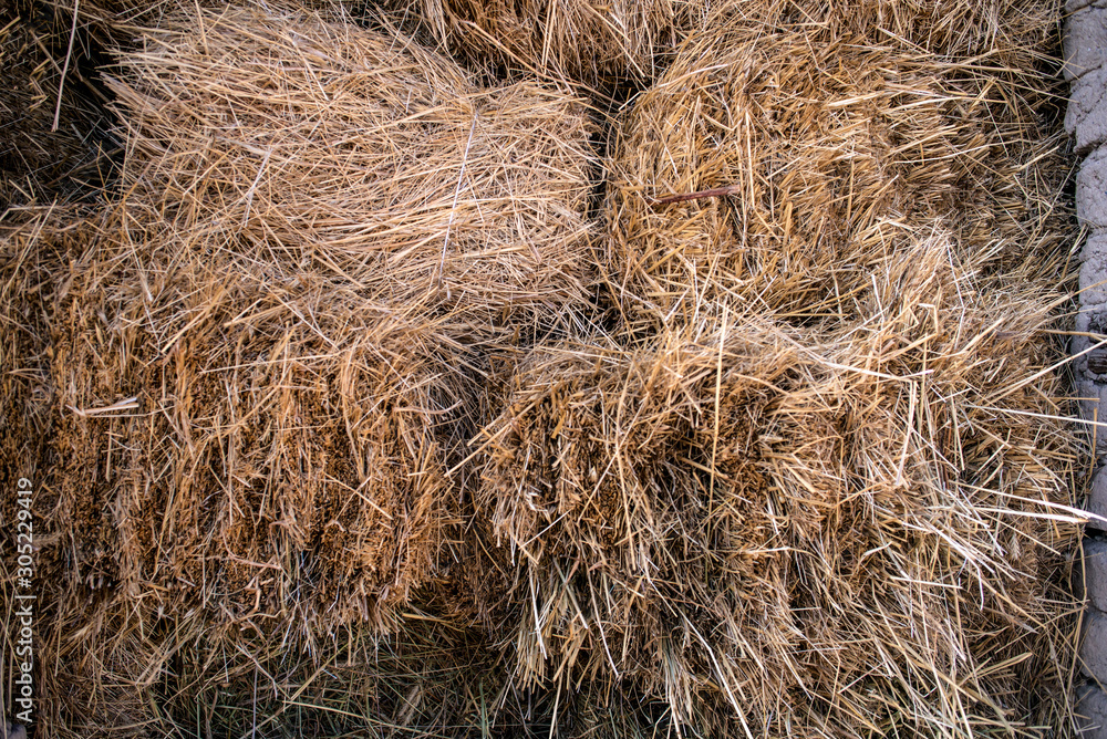 Harvesting hay for the winter for Pets in the barn. Harvesting hay for the winter for Pets in the barn.