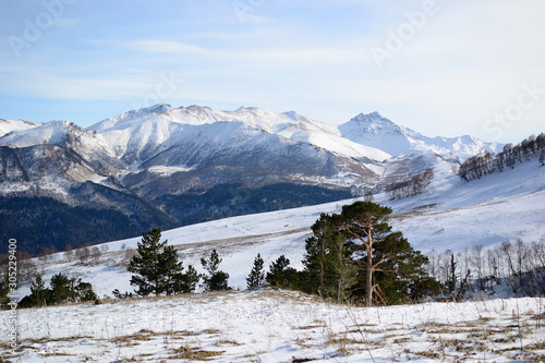 Mountain snowy view with trees in Caucasus