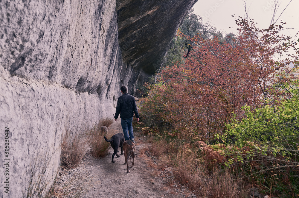 young man walking behind a waterfall with his dogs