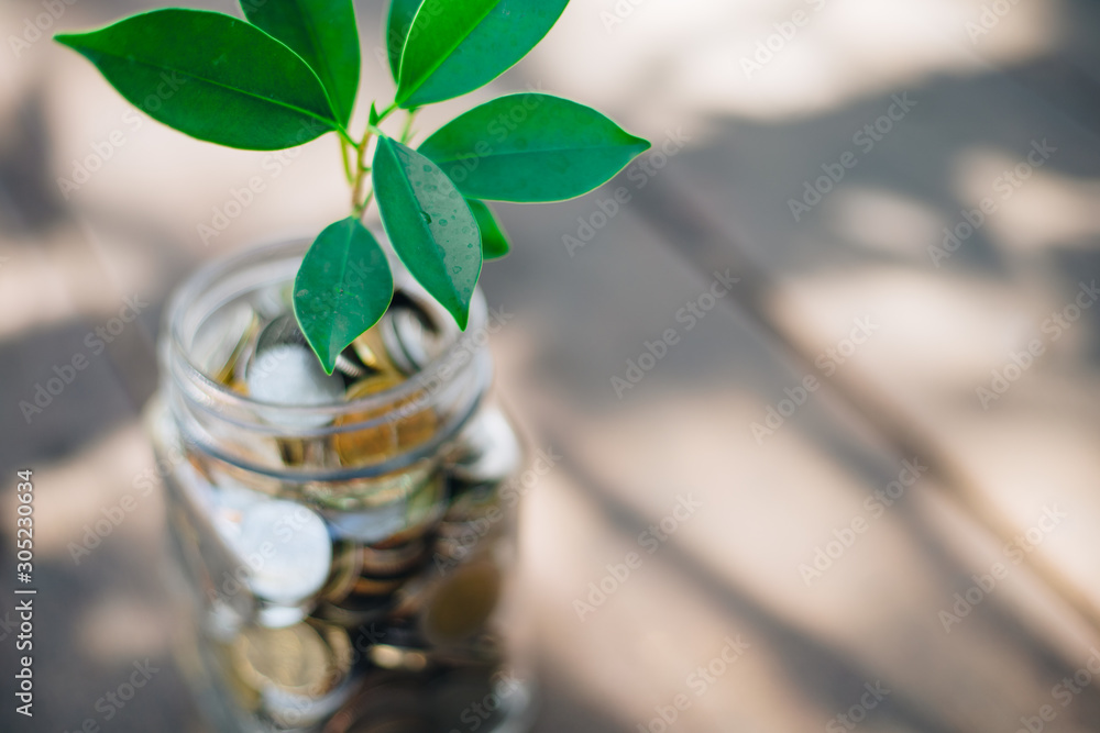 Green plant on coin in glass jar with blur nature background. business financial banking saving concept. investment profit income. marketing startup success. Green plant on coin in glass jar with blur nature background. business financial banking saving concept. investment profit income. marketing startup success.