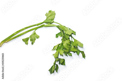 Leaves of fresh tasty celery parsley without root isolated on white background. Fresh celery parsley bunch isolated on white background