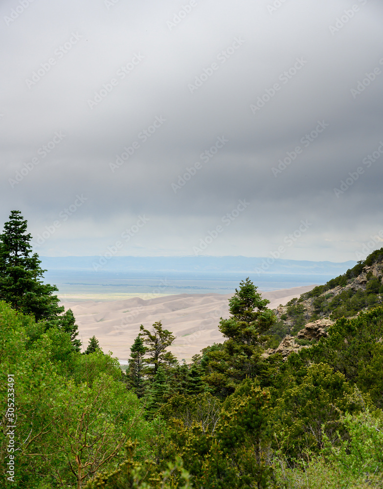 Great Sand Dunes Through Forest View
