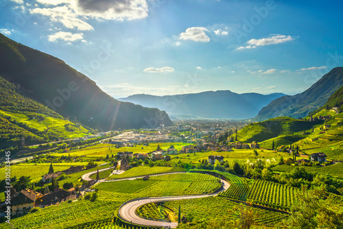 Vineyards view in Santa Maddalena Bolzano. Trentino Alto Adige Sud Tyrol  Italy.