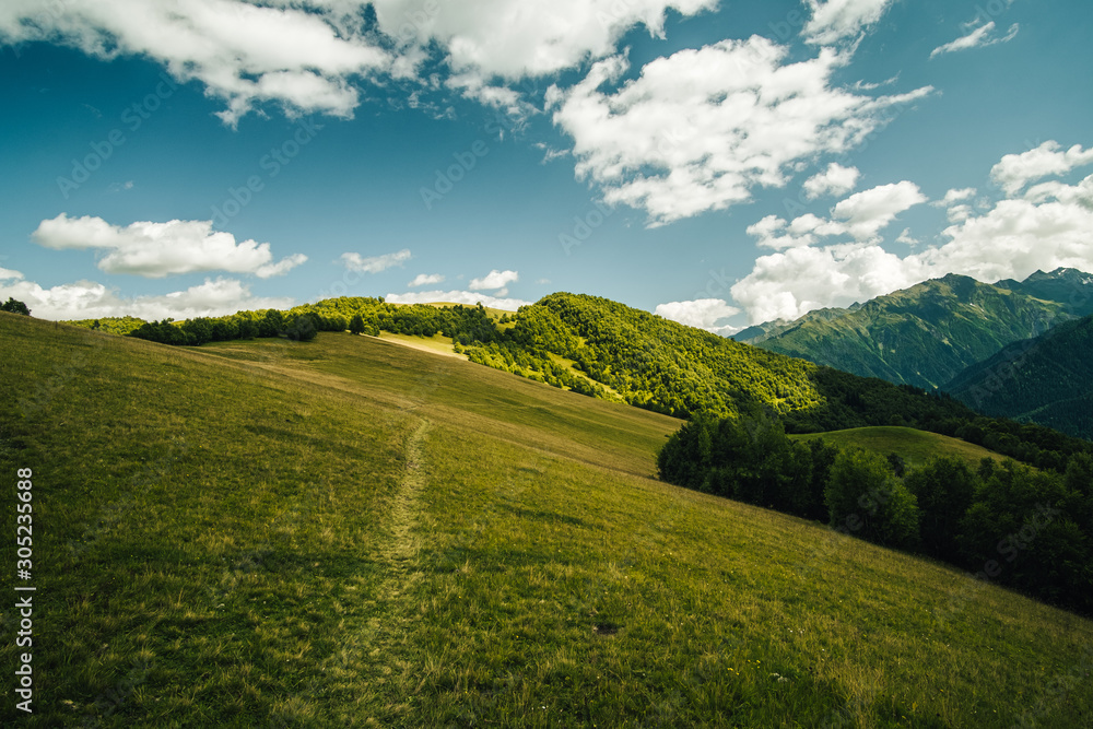 Path between foPath on meadow in mountains. Photo from hike in Svaneti region, Georgia, from Mestia to Ushguli.rest and meadow with Julian Alps in the background, Slovenia. - obrazy, fototapety, plakaty 