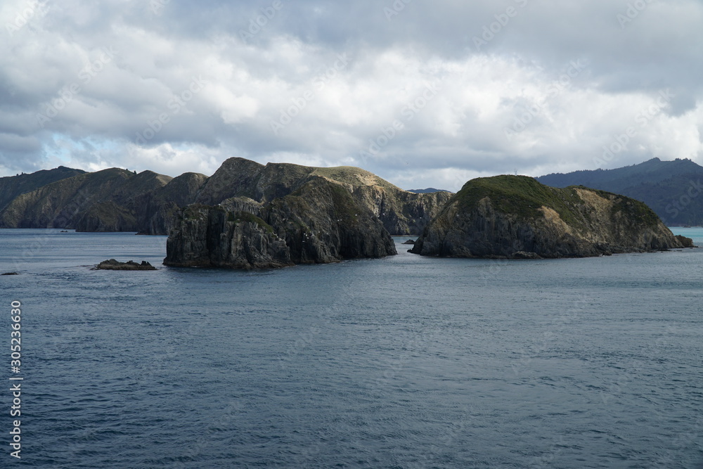 scenic cliffs in the cook strait
