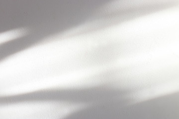 background of organic shadow over white textured wall