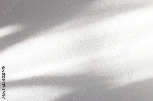 tło organicznych cieni na białej ścianie z teksturą