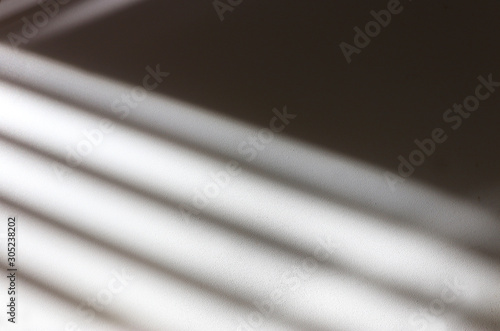 background of organic shadow over white textured wall photo