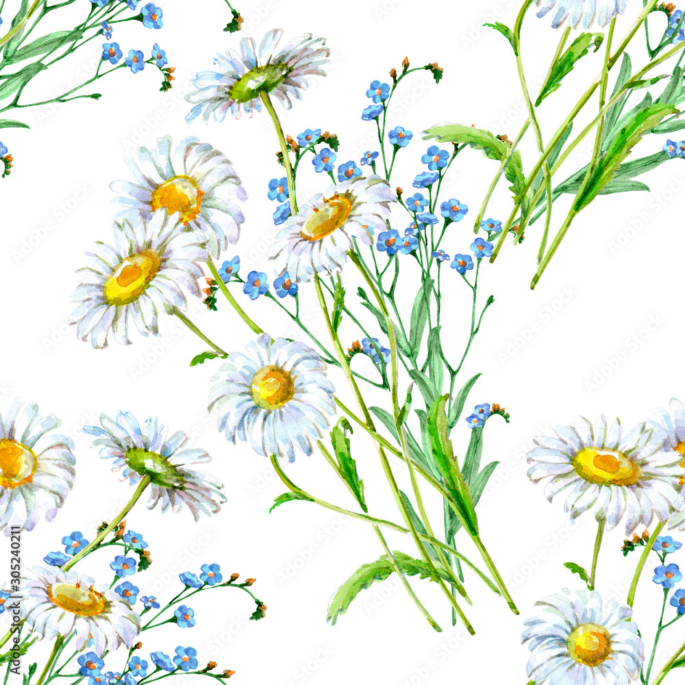Fototapeta premium Seamless background with wildflowers and chamomile on white background.