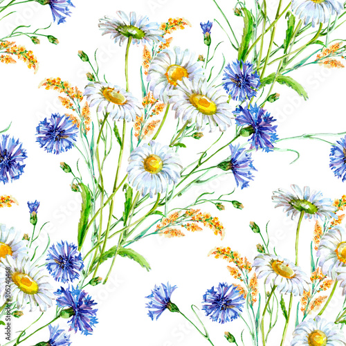 Seamless background with wildflowers and chamomile on white background.
